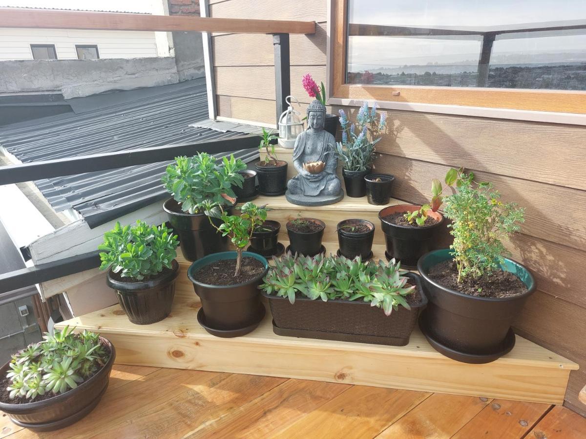 Hostal Buenavista Patagonia Punta Arenas Bagian luar foto