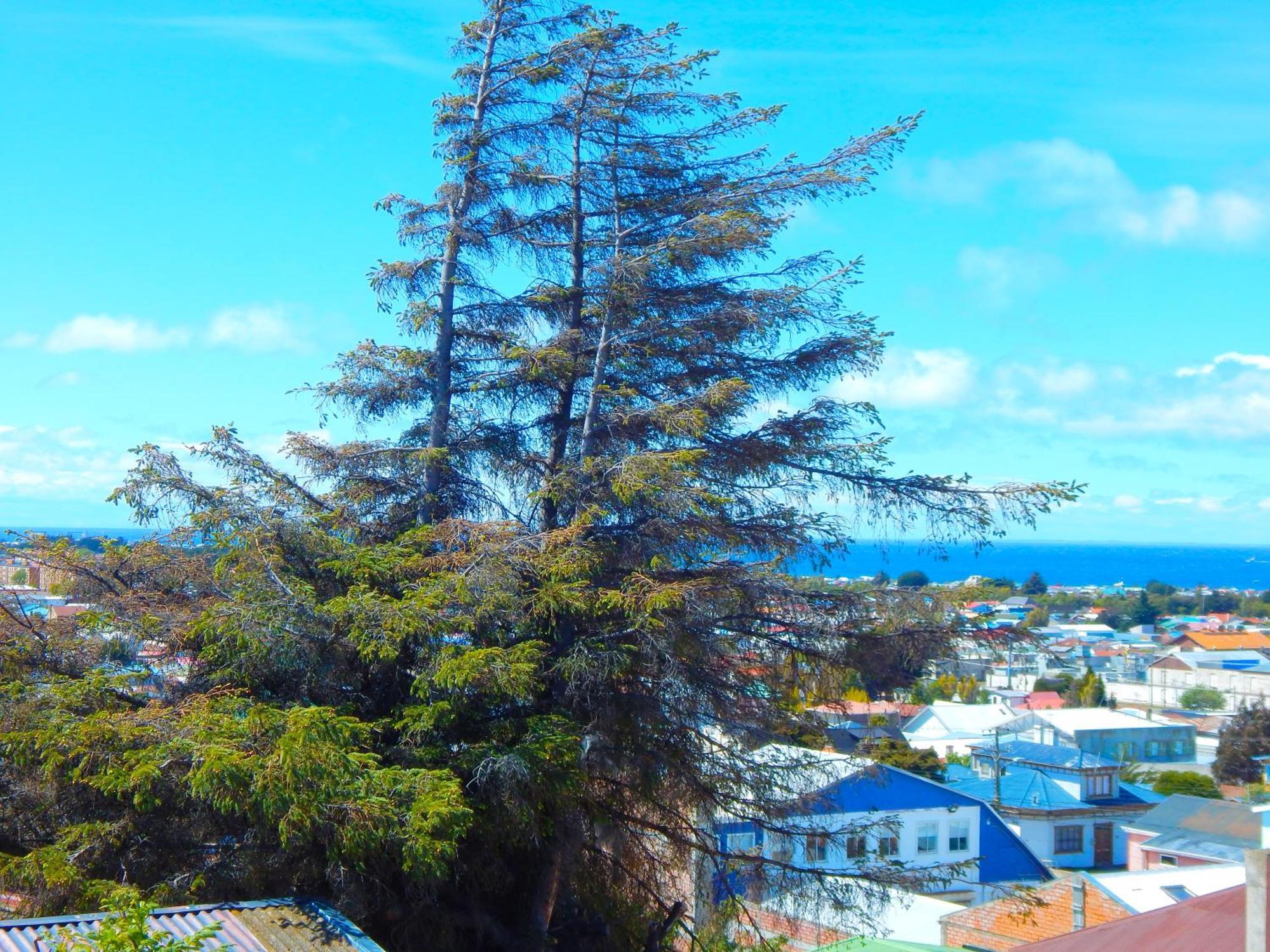 Hostal Buenavista Patagonia Punta Arenas Bagian luar foto